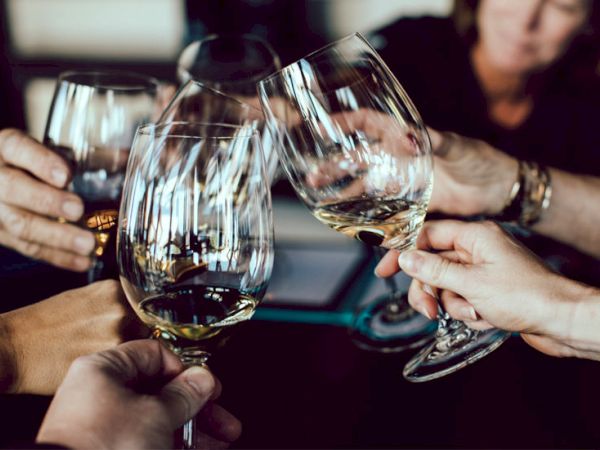 A group of people clinking wine glasses in a toast, celebrating together.