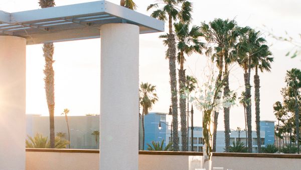 A sunlit rooftop scene with tall palm trees, modern white columns, and soft morning light in a serene urban garden.