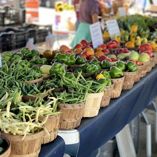 A market stall displays baskets of fresh garden greens and vegetables, neatly lined up on a blue-clothed table with signs and shoppers in the background.