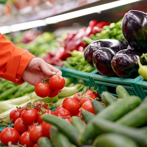 A shopper selects small red tomatoes from a vibrant produce stand with peppers and eggplants nearby, bright market colors all around.